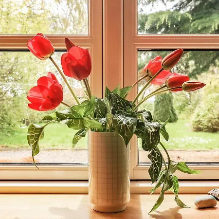 Casa vacanze 6 Person In Aeroskobing-by Traum Ærøskøbing