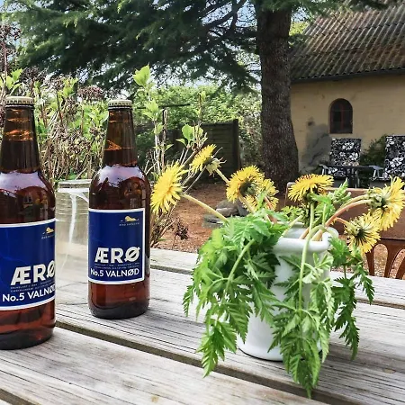 6 Person In Aeroskobing-by Traum * Ærøskøbing