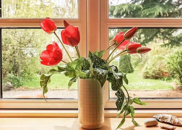 Сasa de vacaciones 6 Person In Aeroskobing-by Traum Ærøskøbing