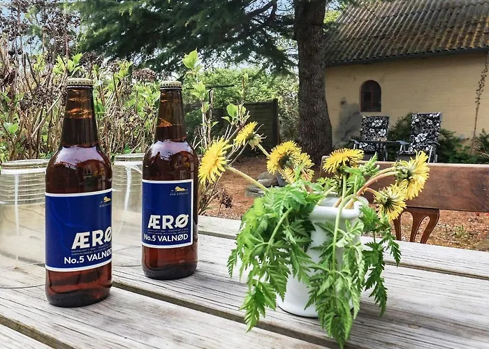 6 Person In Aeroskobing-by Traum * Ærøskøbing